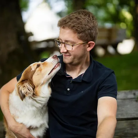Hof Köhne Haus Am Spielplatz - Schaf *