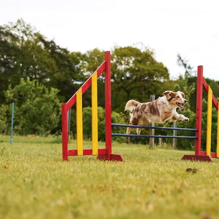 Hof Koehne Haus Am Spielplatz - Schaf * シュマレンベルク