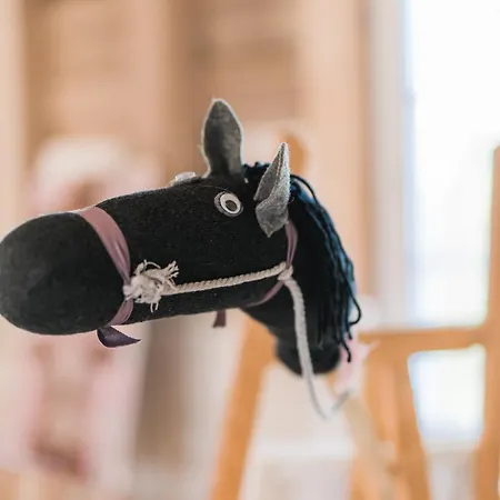 Hof Koehne Haus Am Spielplatz - Schaf * シュマレンベルク