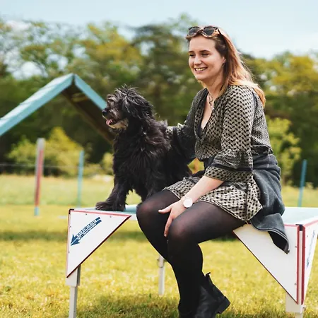 アパート Hof Koehne Haus Am Spielplatz - Schaf シュマレンベルク