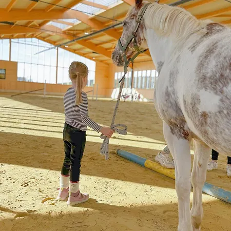 Hof Köhne Haus Am Spielplatz - Schaf Apartment Schmallenberg
