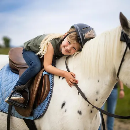 Hof Koehne Haus Am Spielplatz - Schaf