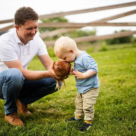 アパート Hof Koehne Haus Am Spielplatz - Schaf シュマレンベルク