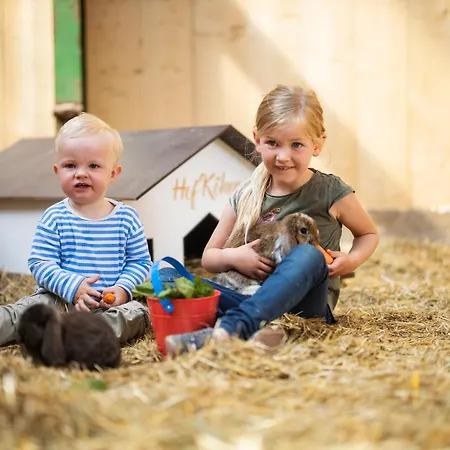 Hof Koehne Haus Am Spielplatz - Schaf シュマレンベルク
