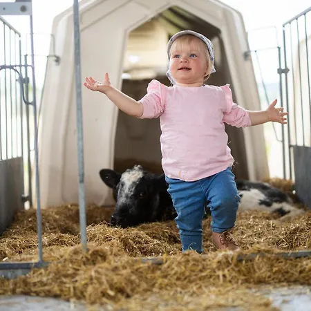 アパート Hof Koehne Haus Am Spielplatz - Schaf シュマレンベルク