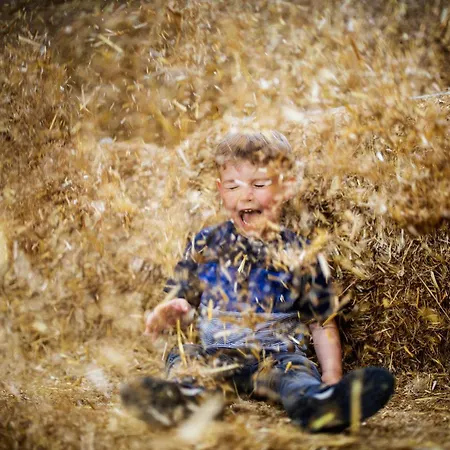 Hof Koehne Haus Am Spielplatz - Schaf