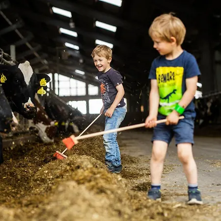 アパート Hof Koehne Haus Am Spielplatz - Schaf