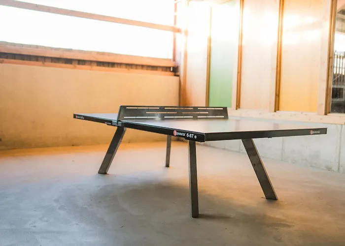 Hof Koehne Haus Am Spielplatz - Schaf *