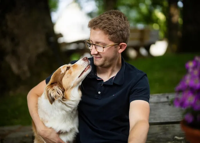 Hof Koehne Haus Am Spielplatz - Schaf *