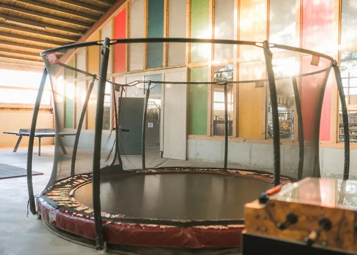 Hof Koehne Haus Am Spielplatz - Schaf Schmallenberg