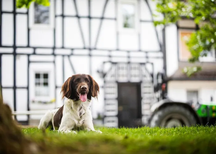 Διαμέρισμα Hof Koehne Haus Am Spielplatz - Schaf Schmallenberg