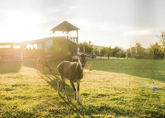 Hof Koehne Haus Am Spielplatz - Schaf Διαμέρισμα *
