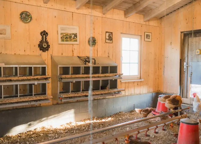 Διαμέρισμα Hof Koehne Haus Am Spielplatz - Schaf *