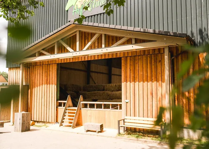 Hof Koehne Haus Am Spielplatz - Schaf Schmallenberg