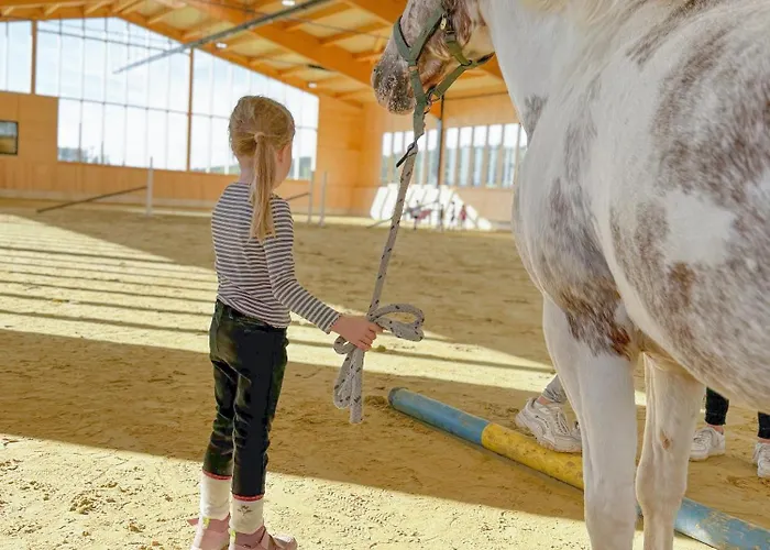 Hof Koehne Haus Am Spielplatz - Schaf Διαμέρισμα Schmallenberg